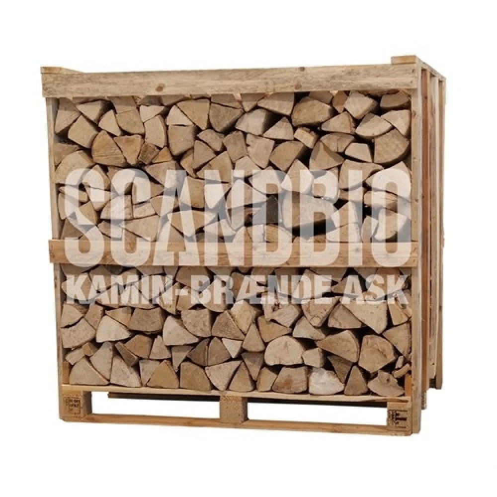 ScandbioKaminBrndeAsk-31